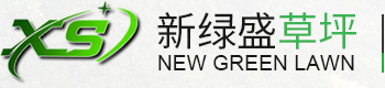 西安市鄠邑区新绿盛草坪种植基地